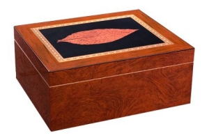 Deluxe Venezia Cigar Humidor