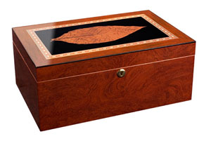 Deluxe Venezia Grande Cigar Humidor