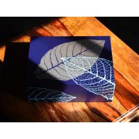 Davidoff Zino Blue Graphic Leaf Humidor - 50 Cigar Capacity